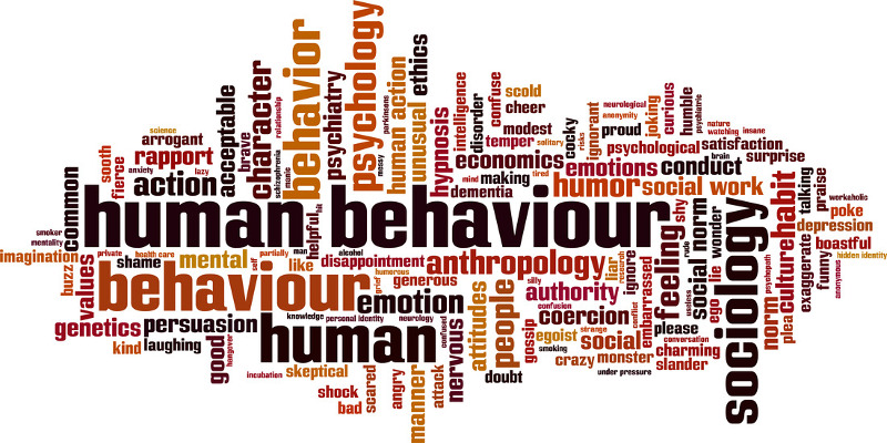 behaviour2
