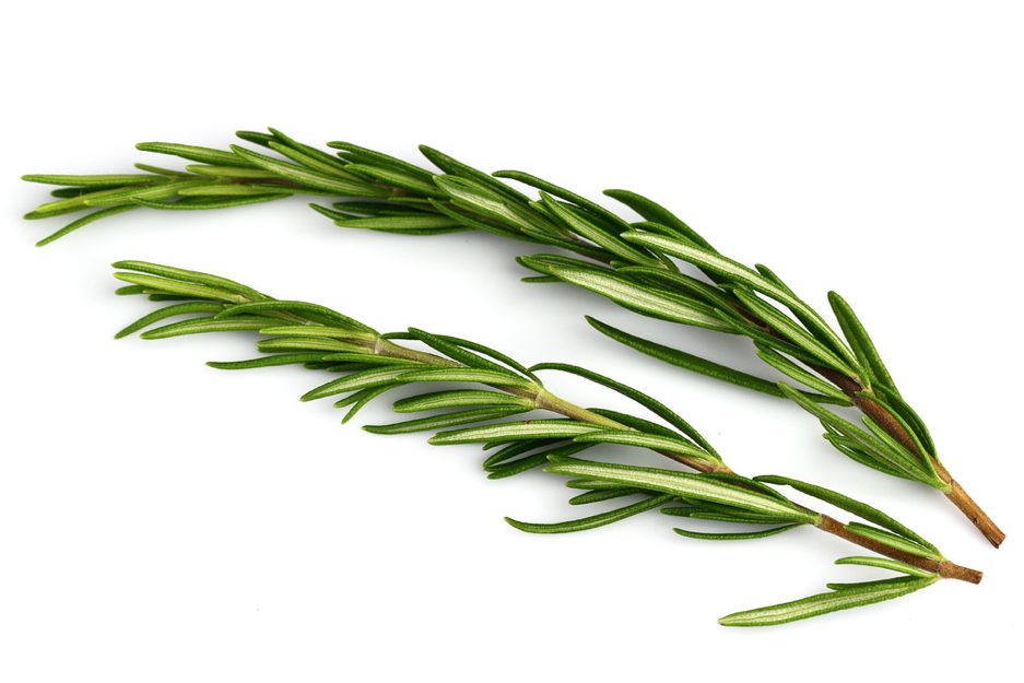 ingredient342_dedrolivano