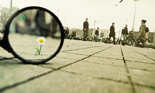 little-things