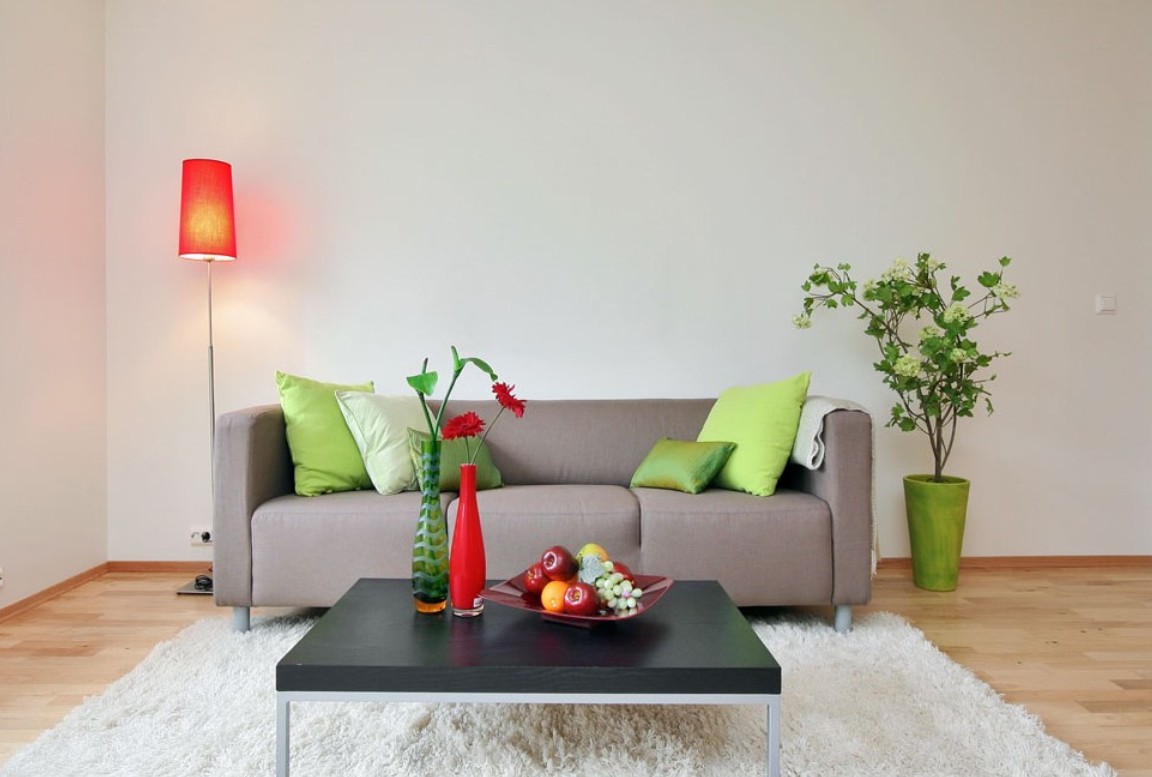 simple-living-room-couches