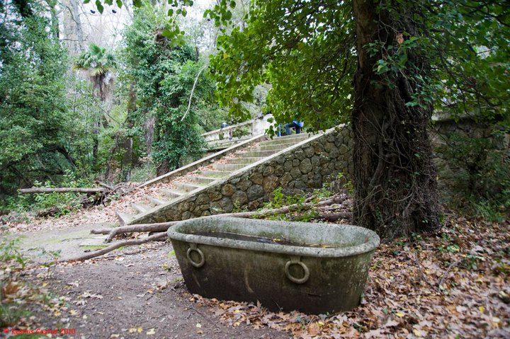 tatoi-2