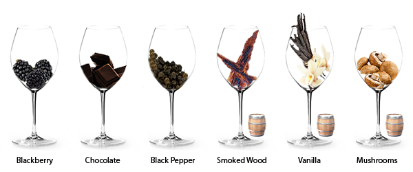 frequent-aromas-in-shiraz