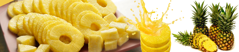 cannedpineapple-banner