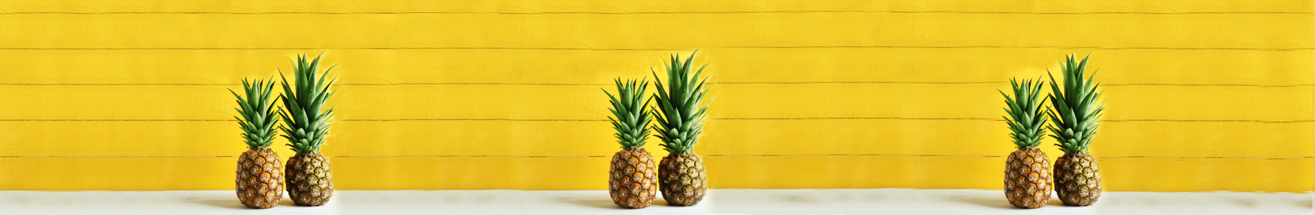 snh_webbanner_pineapple