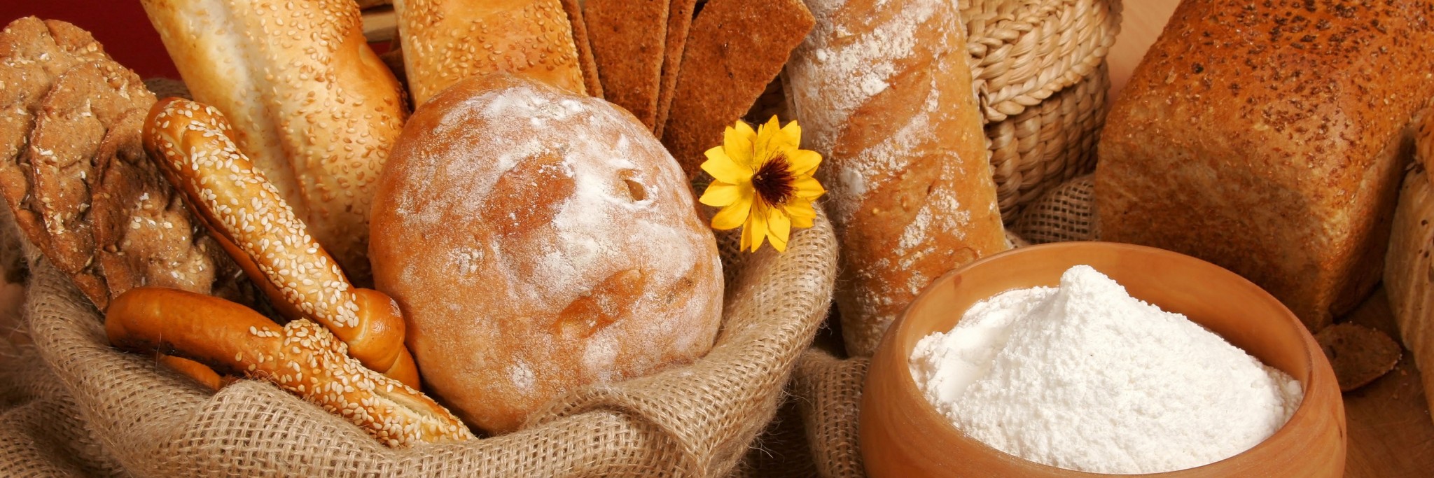 BannerHeader2