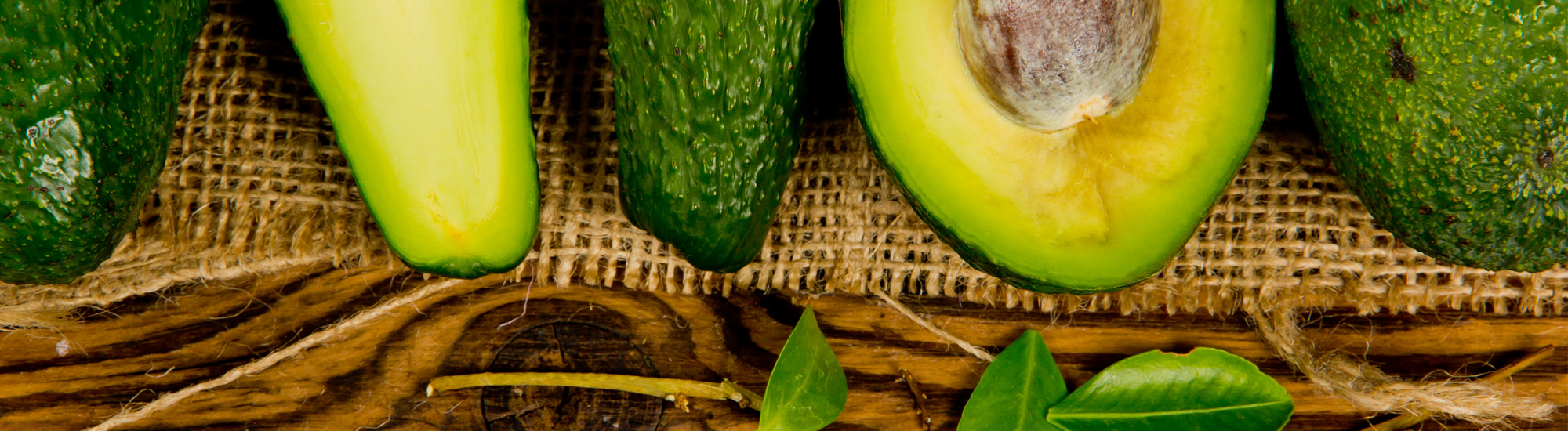 avocado-border