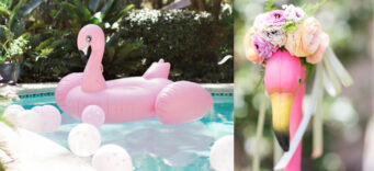 Flamingos