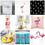 Flamingos1-800x800