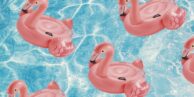 aldi-pool-floats-1494943769
