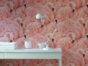 f4bad379bbb05e55996da2c8d913b9b4--flamingo-wallpaper-bird-wallpaper