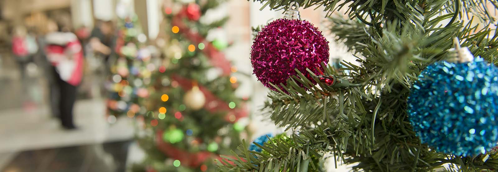 christmas_trees_2017_banner