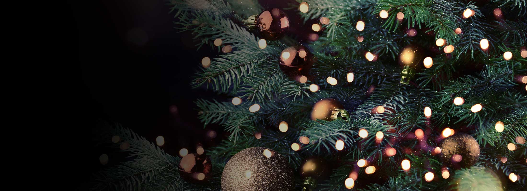 fred-smith-christmas-trees-banner