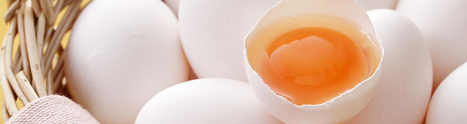 05-Banner-1