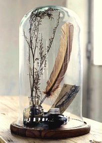 cabinet_de_curiosite_sous_cloche
