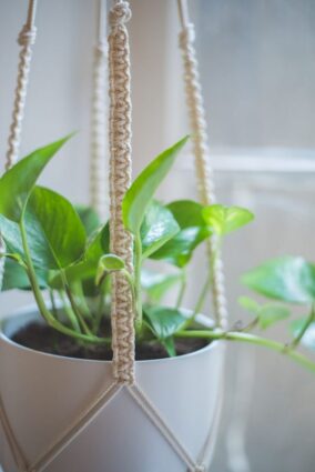 macrame-plant-hanger-7-of-7